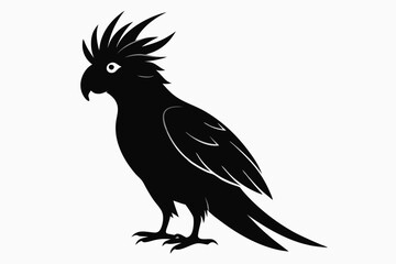 Cockatoo black silhouette vector, parrot silhouette, Cockatoo bird