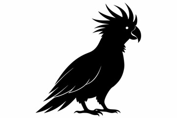 Cockatoo black silhouette vector, parrot silhouette, Cockatoo bird
