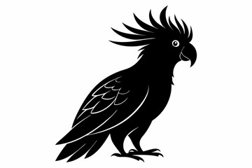Cockatoo black silhouette vector, parrot silhouette, Cockatoo bird
