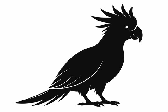 recommend clip art: Cockatoo black silhouette vector, parrot silhouette, Cockatoo bird