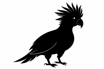 Cockatoo silhouette vector, Palm cockatoo bird icon vector illustration