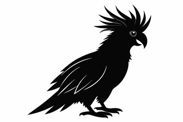 Cockatoo black silhouette vector, parrot silhouette, Cockatoo bird