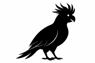 Obraz premium Cockatoo black silhouette vector, parrot silhouette, Cockatoo bird
