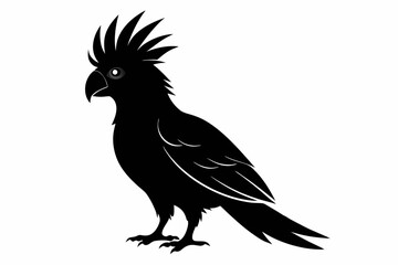Cockatoo black silhouette vector, parrot silhouette, Cockatoo bird