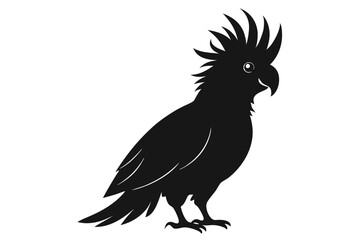Cockatoo black silhouette vector, parrot silhouette, Cockatoo bird