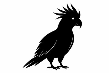 Cockatoo black silhouette vector, parrot silhouette, Cockatoo bird