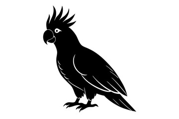 Cockatoo silhouette vector, Palm cockatoo bird icon vector illustration