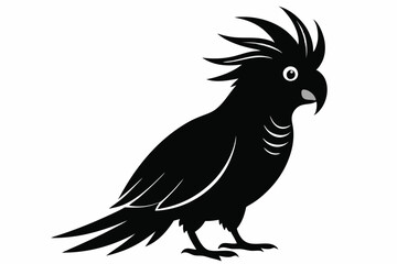 Cockatoo silhouette vector, Palm cockatoo bird icon vector illustration