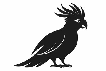 Cockatoo silhouette vector, Palm cockatoo bird icon vector illustration