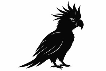 Cockatoo silhouette vector, Palm cockatoo bird icon vector illustration