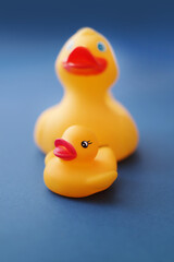 Yellow ducks toys
