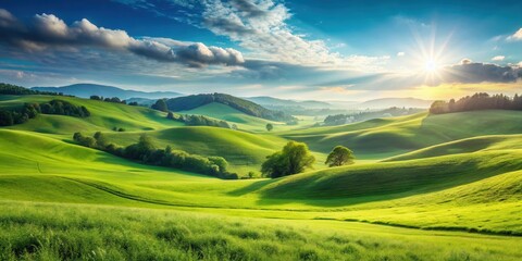 Obraz premium Rolling Green Hills bathed in Golden Sunset Light