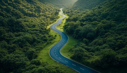 A winding road through a forest with trees on both sides