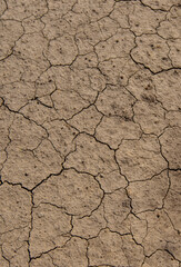 Texture dry cracked soil. Selective focus.