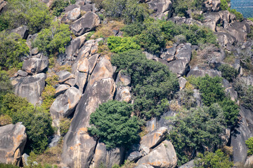 Rocky landscape filled with lush greenery in Karnataka showcasing nature's beauty during daylight