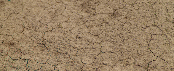 Texture dry cracked soil. Selective focus.