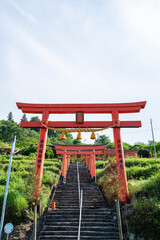 浮羽稲荷神社境内に並ぶ鳥居　福岡県うきは市城ヶ鼻公園