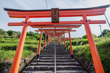 浮羽稲荷神社境内に並ぶ鳥居　福岡県うきは市城ヶ鼻公園