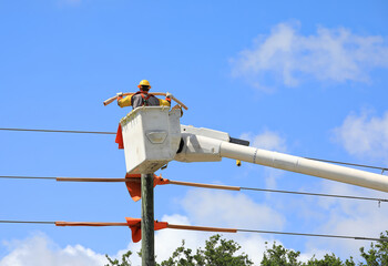 Electrical contractor in a bucket truck insulates live power lines on old wooden poles. Soon to transfer the power lines to newly installed concrete poles to strengthen the grid in Fort Lauderdale, FL
