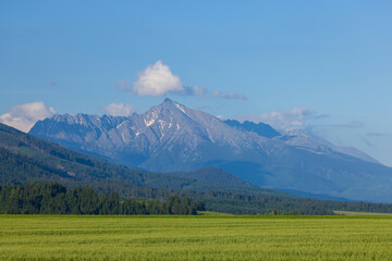 Fototapeta premium High Tatras with Krivan peak in spring time, Slovakia