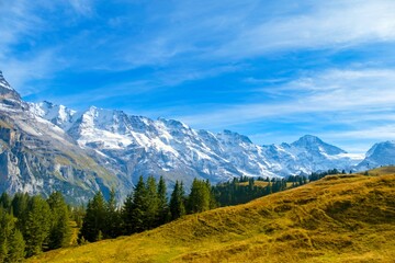 Idyllic summer panorama landscape in the Alps with fresh green meadows and snowcapped mountain tops in the background. Switzerland
