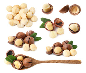 Many macadamia nuts isolated on white, collage