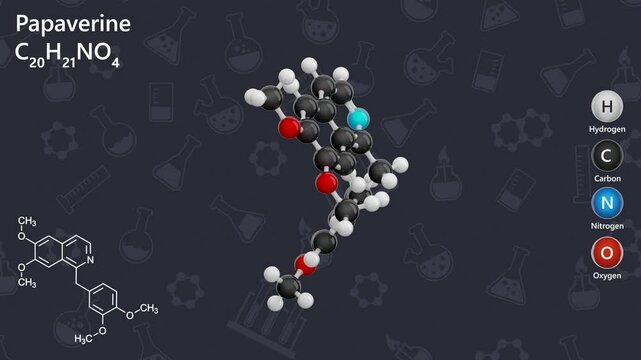 Molecule of Papaverine (C20H21NO4), is an alkaloid derived from opium. It has a role as a vasodilator agent and an antispasmodic drug. Chemical model: Ball and Stick. Dark background. 3d render.