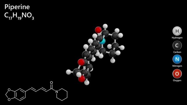 Molecule of Piperine (C17H19NO3), is an alkaloid responsible for the pungent flavor of black pepper. It exhibits antioxidant properties. Chemical model: Ball and Stick. Black back. 3d render
