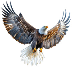 Obraz premium Majestic Bald Eagle in Flight isolated on transparent background.