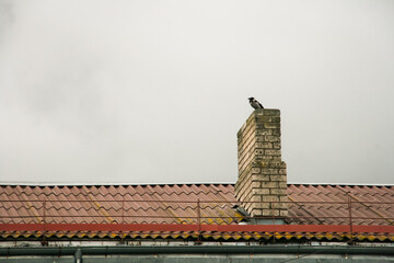 Lonely crow sitting on a brick chimney ontop the a red roof with rainclouds in the background