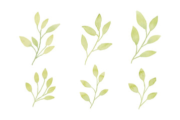 Assortment of watercolor leaves illustration set - green leaf branches collection for wedding, greetings, stationary, wallpapers, fashion, background. olive, green leaves, Eucalyptus etc