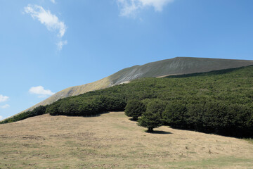sky and clouds over the mountains