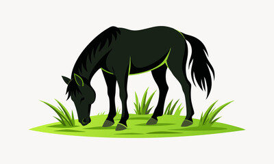 Download Friesian Horse Eating Grass Vector Illustration  . This Icon Concept Isolated Premium Vector. 