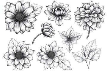 A bouquet of sunflowers surrounded by lush green leaves