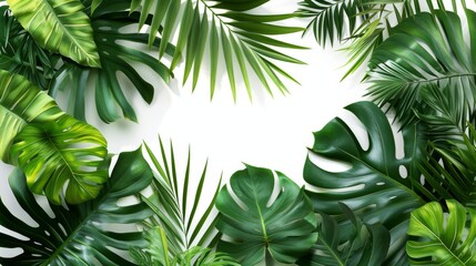 Tropical Leaves Frame on White Background - Lush Greenery