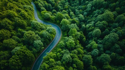 Aerial View of Winding Road Through Lush Forest