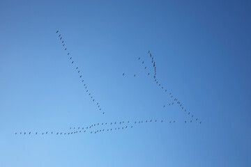 Formation © Klaus Eppele