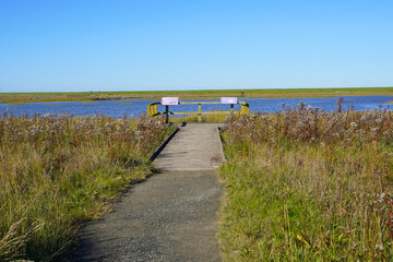 Im Nationalpark Langwarder Groden in Fedderwardersiel in Butjadingen an der Nordseeküste in...