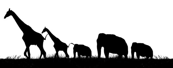 silhouette animal ( giraffe, elephant ) with grass