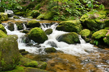 Fototapeta premium Gertelbachfaelle im Schwarzwald