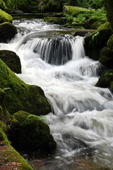 Gertelbachfaelle im Schwarzwald