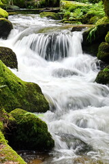 Fototapeta premium Gertelbachfaelle im Schwarzwald