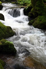 Fototapeta premium Gertelbachfaelle im Schwarzwald