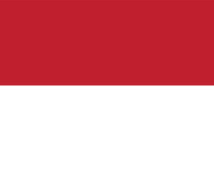Fototapeta premium Vector flag of Indonesia. Accurate dimensions and official colors. Symbol of patriotism and freedom. This file is suitable for digital editing and printing of any size.