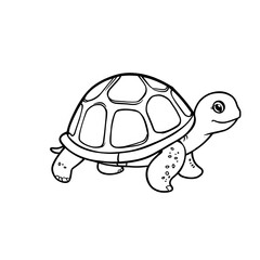 turtle coloring book