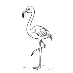Naklejka premium flamingo coloring book