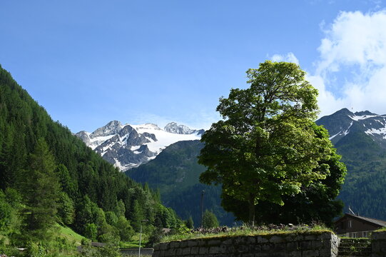 Blick von Trient zur Aiguille du Tour