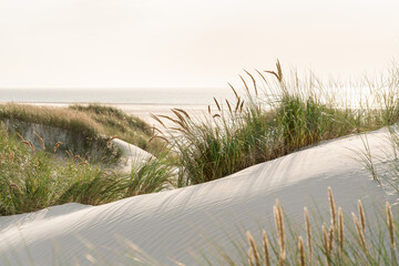 Sonnenuntergang in den Dünen der Nordsee