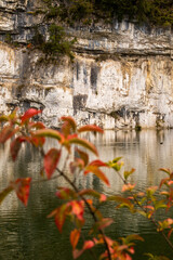 reflections in water
