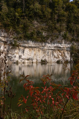 reflections in the water